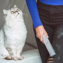 Grand Fusion Twist N Clean Lint Brush, Blue -Household Cleaning Supplies GUEST 155cb492 2118 4ee2 a9a7 86404d355c6f