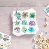Sparkle And Bash 100 Pack Succulent Paper Napkins For Birthday Party (6.5 In) -Household Cleaning Supplies GUEST 29feec9b 10cb 43c2 a470 2f1c8d8e046d