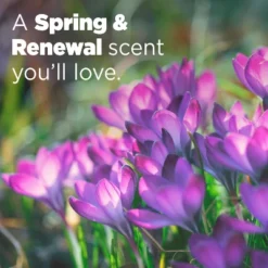 Tide Power Pods Febreze Odor Eliminator Laundry Detergent - Spring And Renewal 20 Tide Power Pods Febreze Odor Eliminator Laundry Detergent - Spring And Renewal -Household Cleaning Supplies GUEST 2ab2976b fae5 49c8 b5c1 afcd7172bc48