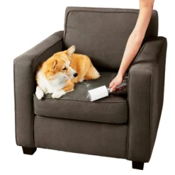 Household Cleaning Supplies -Household Cleaning Supplies GUEST 35488e1b 6d29 474b a269 786abaa62e0a