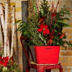 Behrens Rectangular Galvanized Steel Bucket Red -Household Cleaning Supplies GUEST 659f2341 13c3 445f 9105 ed8ac4003a8a