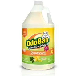 OdoBan Disinfectant Concentrate And Odor Eliminator, Citrus Scent -Household Cleaning Supplies GUEST 672d0af5 2e5f 44b7 af49 716699938ef2