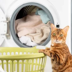 Arm & Hammer Arm Hammer Plus OxiClean Odor Blasters Liquid Laundry Detergent 12 Arm & Hammer Arm Hammer Plus OxiClean Odor Blasters Liquid Laundry Detergent -Household Cleaning Supplies GUEST 98cfd94e 26f5 4773 91c3 1cb5645f6174