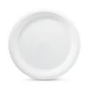 Chinet Classic Dinner Plate 2 Chinet Classic Dinner Plate -Household Cleaning Supplies GUEST c4f9ceac 4279 4e59 b610 55580ef15b98