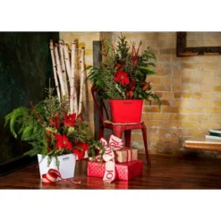 Behrens Rectangular Galvanized Steel Bucket White -Household Cleaning Supplies GUEST cc3c8a48 aa01 447a 9e42 a3292b1fb6cb