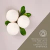 Pursonic 100% Pure New Zealand Fragrance Free & Biodegradable Wool Dryer Balls - 3 Pack -Household Cleaning Supplies GUEST dee80c69 f57c 44ed ac82 ce447edf776e