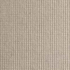 Pacific Blue Basic Paper Towel Hardwound Roll 12 Pack(s), 1 Towels/ Pack